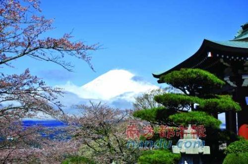 日本是中国学生的热门留学目的国。C FP供图